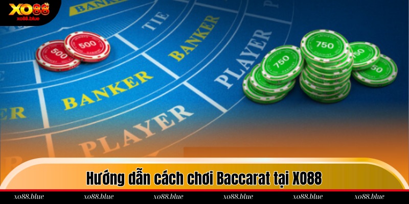 Cách Chơi Baccarat Tại XO88 Thắng Lớn Từ Các Cao Thủ Tổng hợp 3 cửa cược đầu tư trong game Baccarat