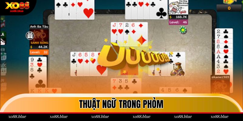 Cách Chơi Phỏm An Toàn Và Dễ Thắng Nhất Tại Xo88 Thuật ngữ trong Tả lá Xo88