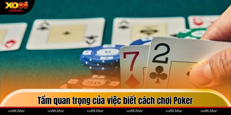Cách Chơi Poker Tại Nhà Cái Xo88 Từ A Đến Z Cho Newbie Tầm quan trọng của việc biết cách chơi Poker trước khi bắt đầu trải nghiệm
