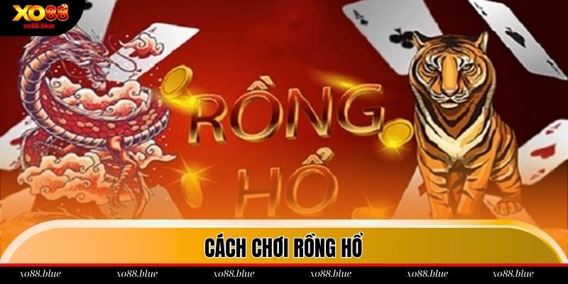 Cách Chơi Rồng Hổ Bách Phát Bách Trúng Hay Nhất 2025 Cách chơi Rồng Hổ cơ bản cho hội viên Xo88