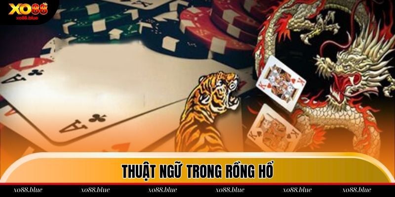Cách Chơi Rồng Hổ Bách Phát Bách Trúng Hay Nhất 2025 Những thuật ngữ thường thấy trong Dragon And Tiger Xo88