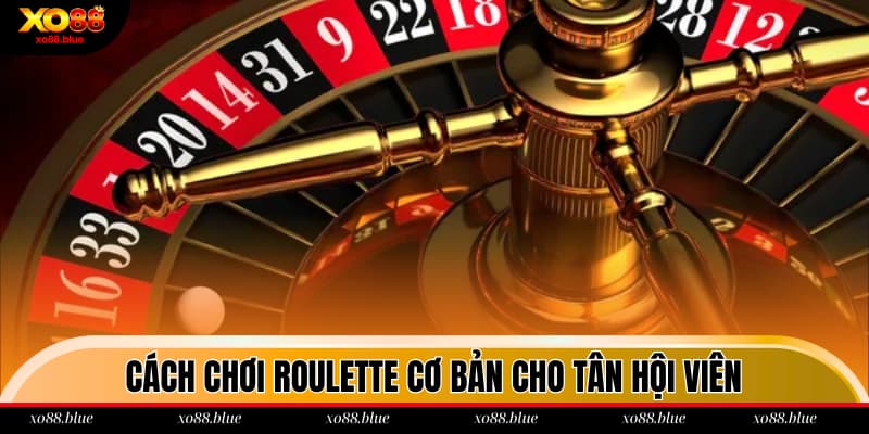 Cách Chơi Roulette XO88 - Bí Kíp Phá Đảo Của Cao Thủ Cách chơi Roulette cơ bản cho tân hội viên