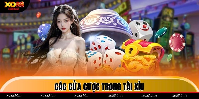 Hướng Dẫn Cách Chơi Tài Xỉu Dễ Hiểu Nhất Năm 2025 Các loại cược trong sicbo